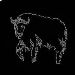 logo Musk Ox